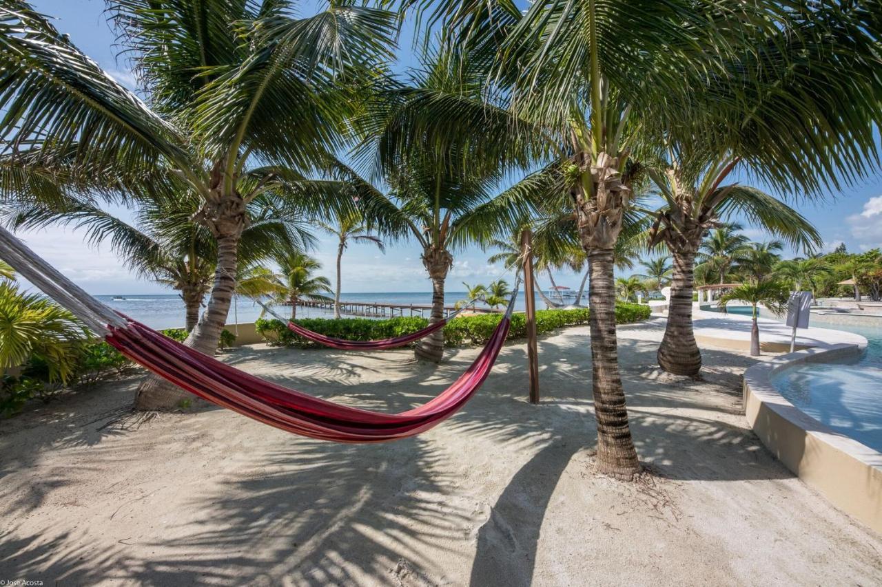 Belizean Cove Estates Luxury Beachfront Villa San Pedro  Exteriér fotografie